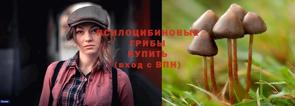 каннабис Баксан