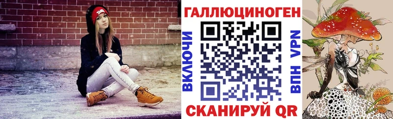MEGA вход  сколько стоит  Петровск-Забайкальский  Галлюциногенные грибы Psilocybe 